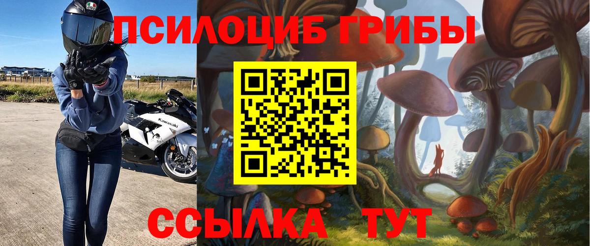 Псилоцибиновые грибы мухоморы  Вход с VPN  где купить наркоту  Симферополь 