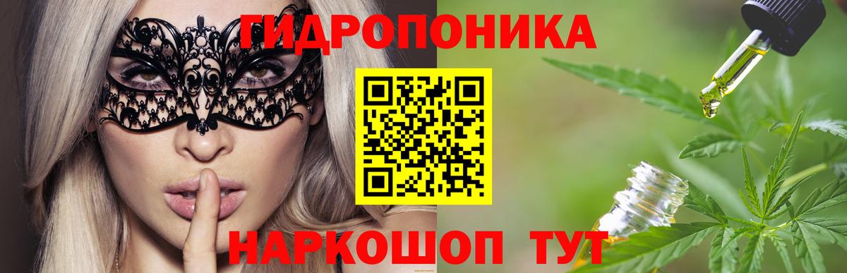 Бошки марихуана VHQ  Канабис Bruce Banner  Конопля семена  Вход с VPN  Симферополь 